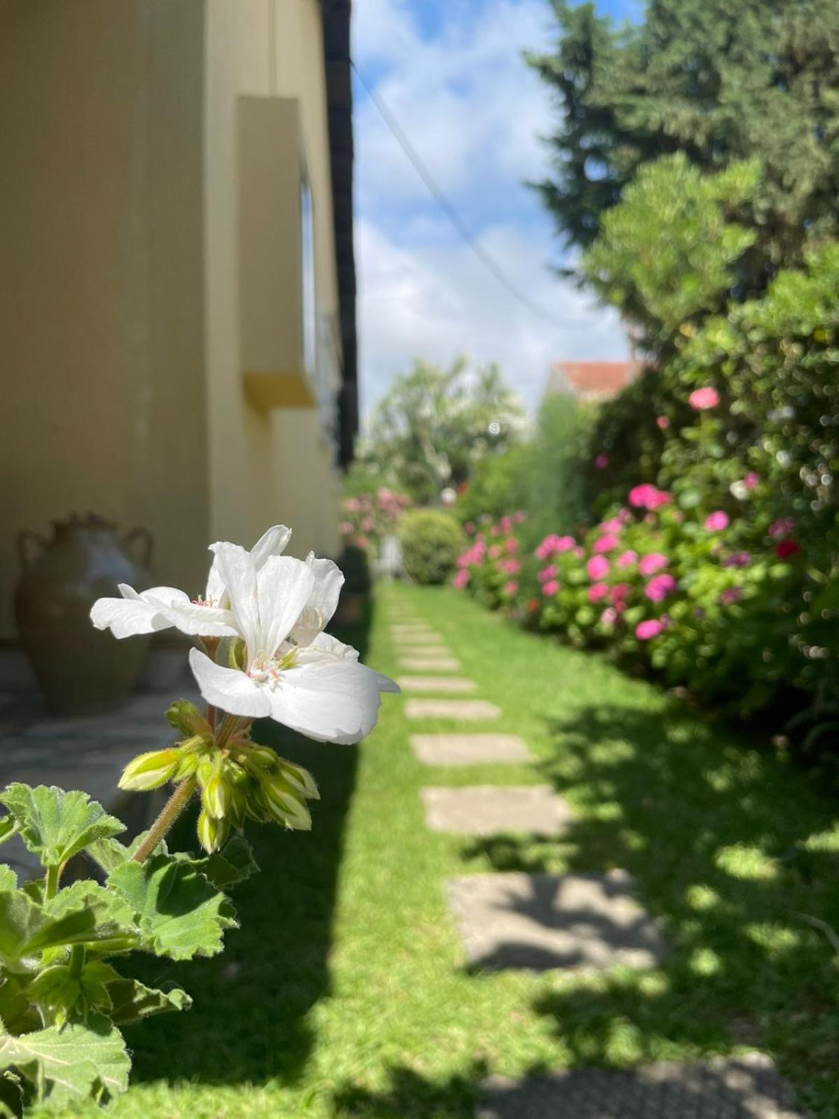 Villa Tina Country Beach Apartments Acharavi  Room photo