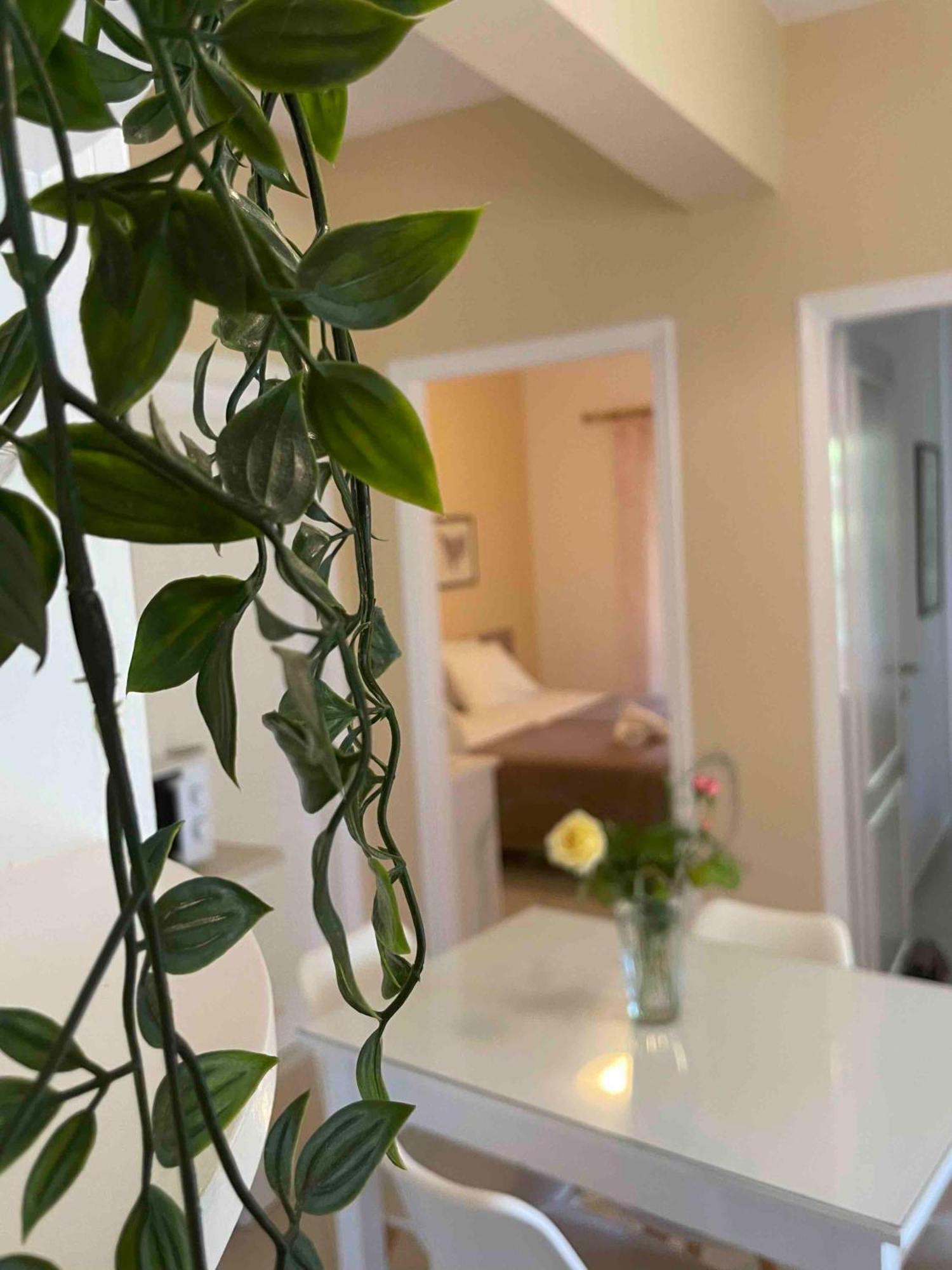 Villa Tina Country Beach Apartments Acharavi  Room photo