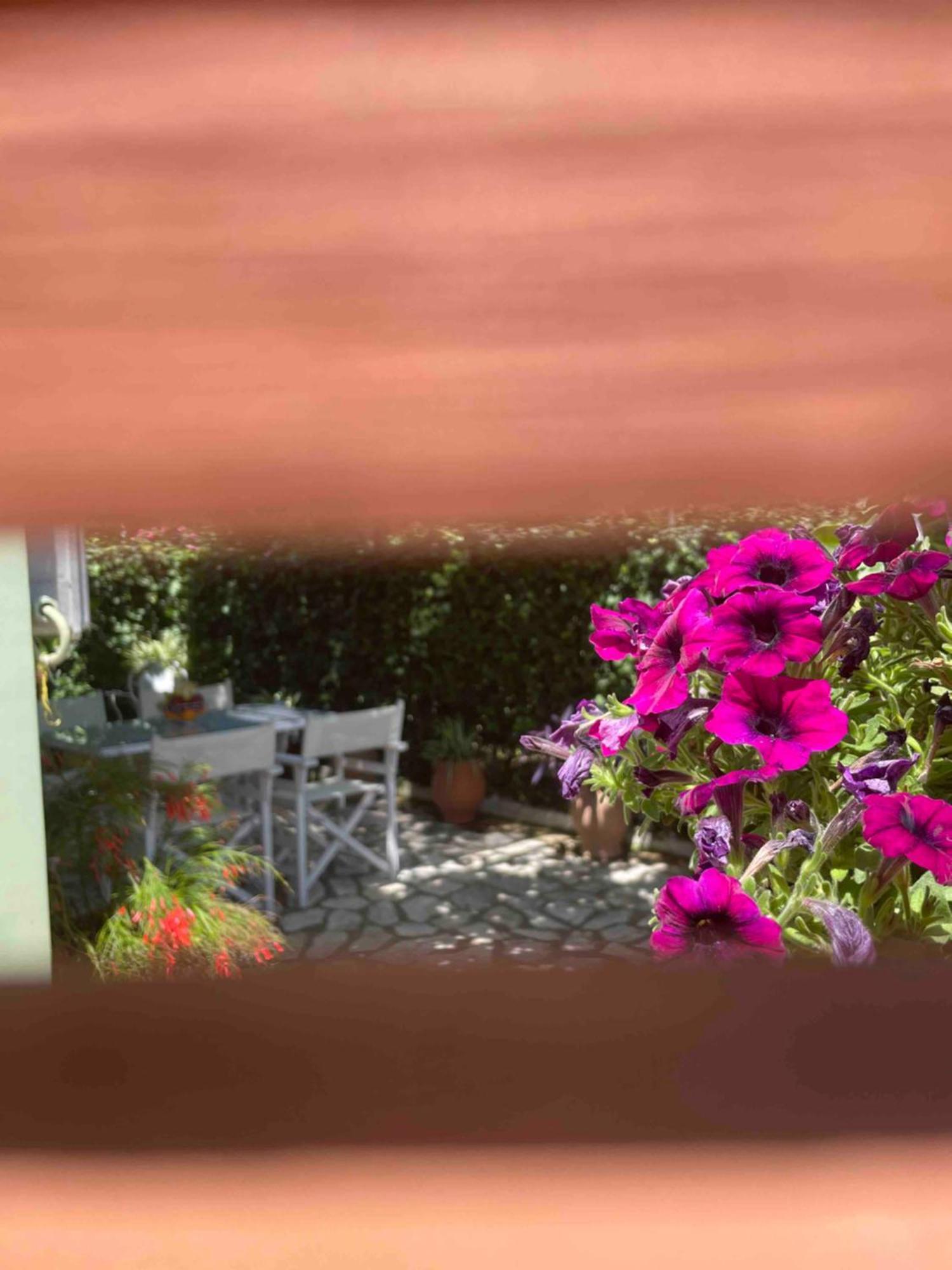 Villa Tina Country Beach Apartments Acharavi  Room photo